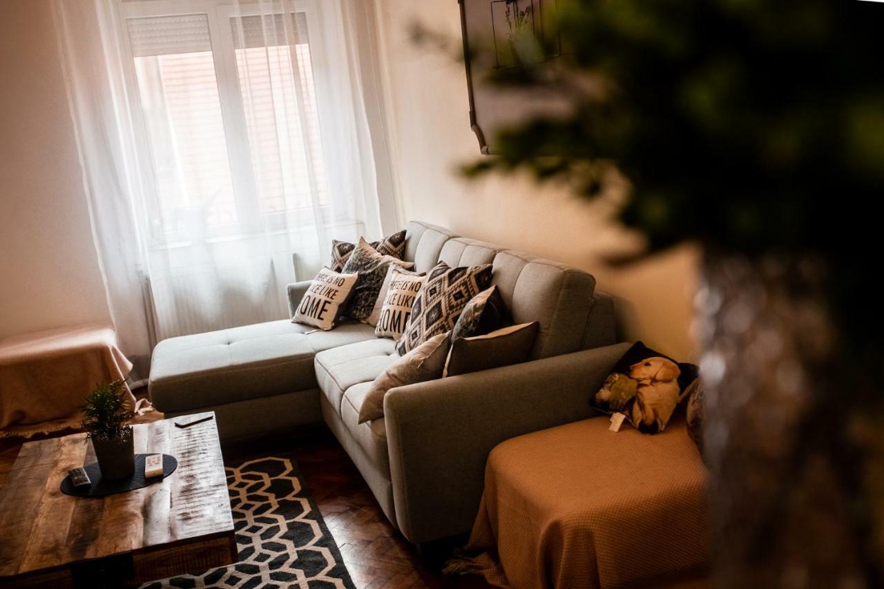 Art Downtown Alecsandri St Luxury Apartment Gran Varadino Esterno foto